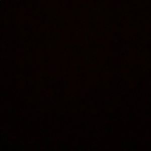 Meet your Posher, Rex